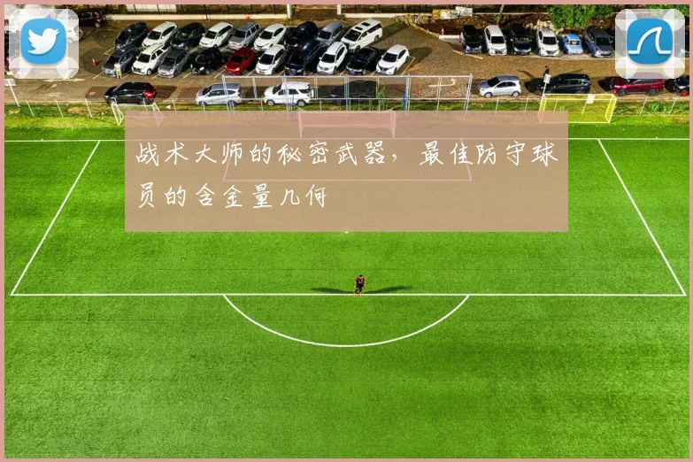 战术大师的秘密武器，最佳防守球员的含金量几何