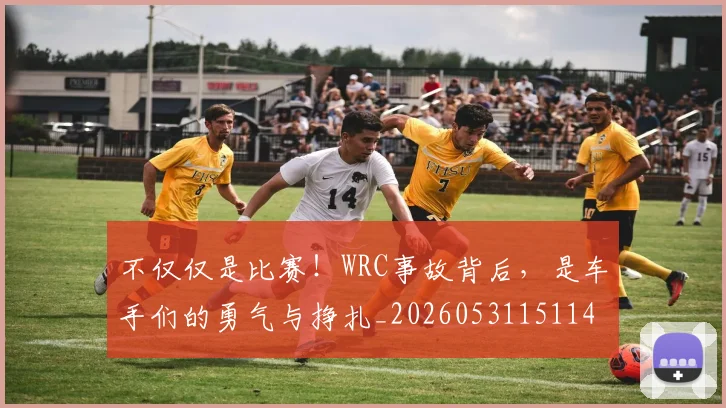 不仅仅是比赛！WRC事故背后，是车手们的勇气与挣扎_20260531151146_20260702174256