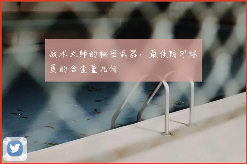 战术大师的秘密武器，最佳防守球员的含金量几何